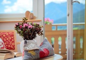 Venediger studio 3 people (up to 3 nights) - Hotel Steiger in Neukirchen am Großvenediger