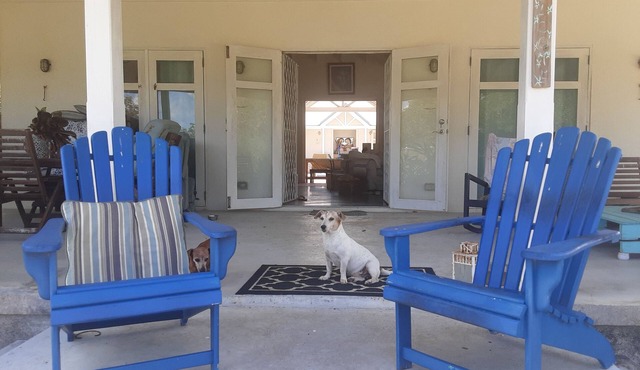 A Hidden Bed & breakfast with live-in host Private, Peaceful with Plunge pool. in Christ Church