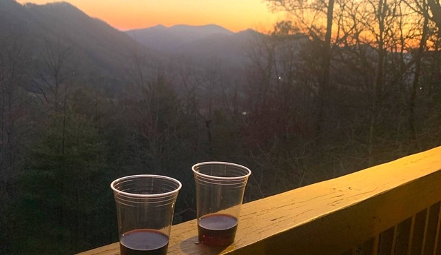 A Perfect View! Dog Friendly Cabin at The Top of The Mountain! in Rabun Gap
