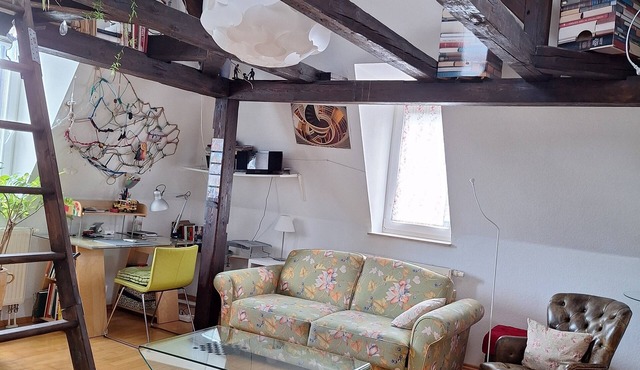 bright charming flat in a historical residential area- close to the city center in Weimar