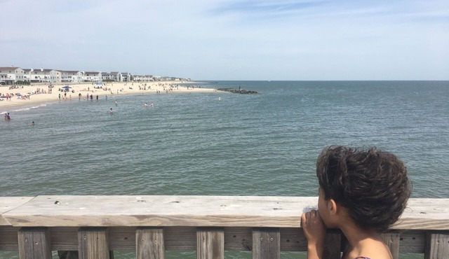Buckroe Beach Home with King Bed, Grill, Games and 5 min Walk to Beach…Sleeps 8. in Hampton