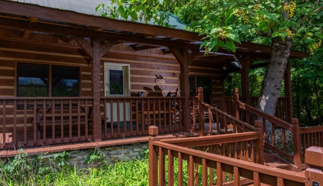 Carries Cabin-ultimate privacy on 30 acres in Cosby