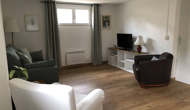 Comfortable lower ground floor flat in picturesque village above Nyon in Duillier