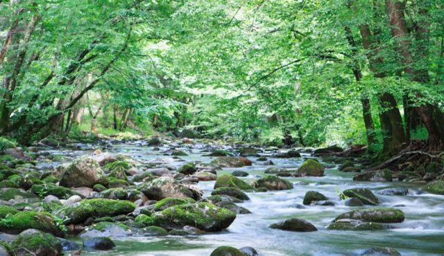 Cork's Creekside in Cosby
