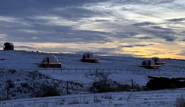 Cozy Geodesic Glamping Dome on a Canadian Ranch with Horses, Perfect for a Weekend of Wellness in Redcliff