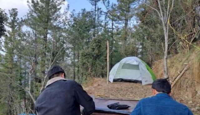 Delicate camp E in HP