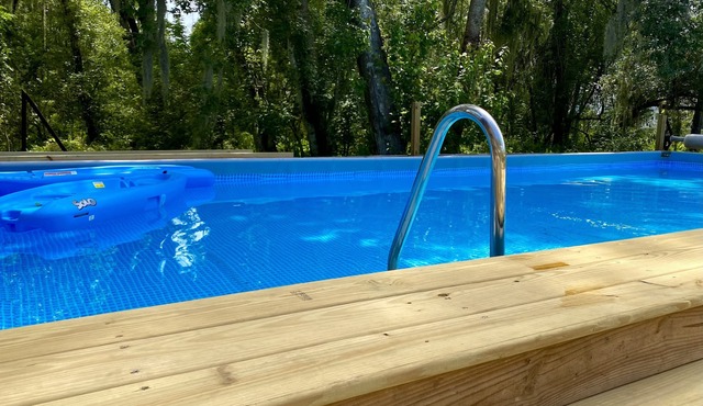 Discover Real Florida UP CLOSE! Tropical Escape Sarasota in Sarasota