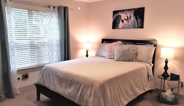 Downtown Atlanta location! Walk to EVERYTHING! in Atlanta