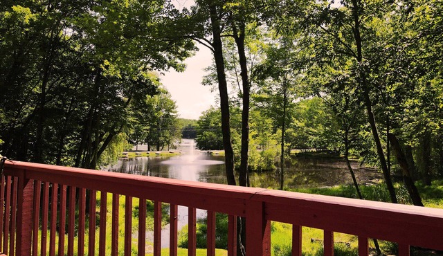 ★ - Highly Rated Waterfront: Hot Tub, Fireplace, Pet Friendly! -★ in Lake Ariel