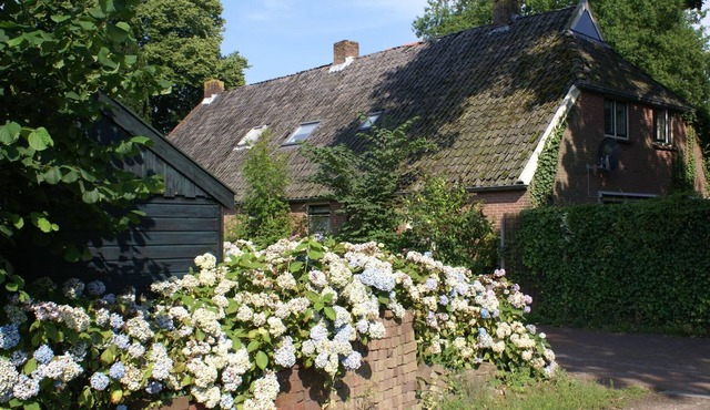 Holiday house Diever for 2 - 12 persons with 5 bedrooms - Twin house in Diever