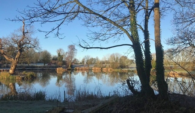 Lake House Annexe - quiet countryside retreat close to Bristol, Bath and Wells. in Bristol
