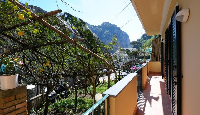 Lemon Garden in Amalfi