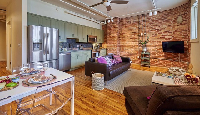 Luxury Loft in Downtown Asheville: chic, central, in the middle of all the fun! in Asheville