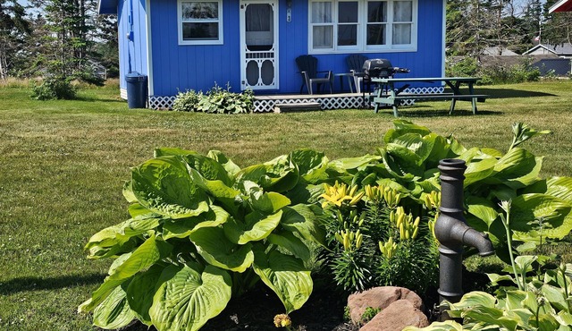 Lyons Cottages - Cottage #3, 2BR Walk to the Beaches of Stanhope National Park! in Stanhope