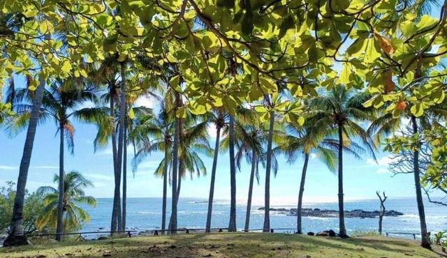 Magic place with ocean view & direct beach access - A wood house in paradise in Los Pargos