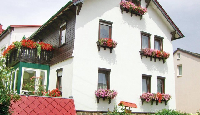 Pet friendly apartment in Waltershausen/Fischb.