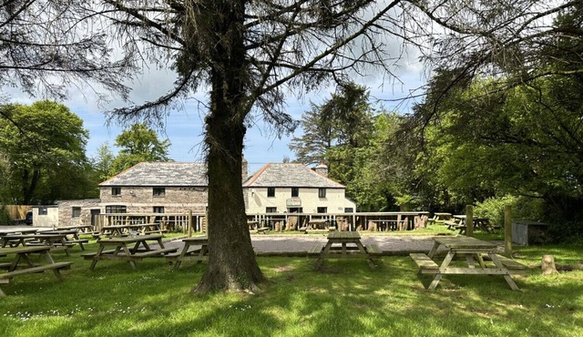 Pitch 2 - The Rising Sun Campsite in Altarnun
