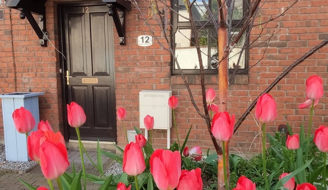 Quiet Family Townhouse within walking distance of all attractions in Dublin 8