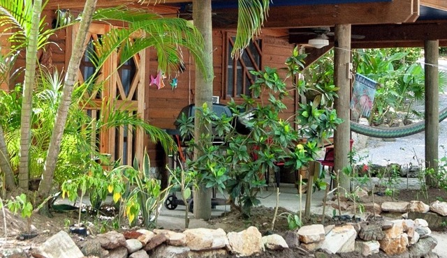 Stay & Dive or Snorkel! Rustic, beach side apartment, steps from the waters edge in Sandy Bay