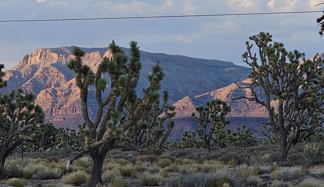 Stunning Views! Rustic cabin facing the base of Grand Canyon West in Meadview