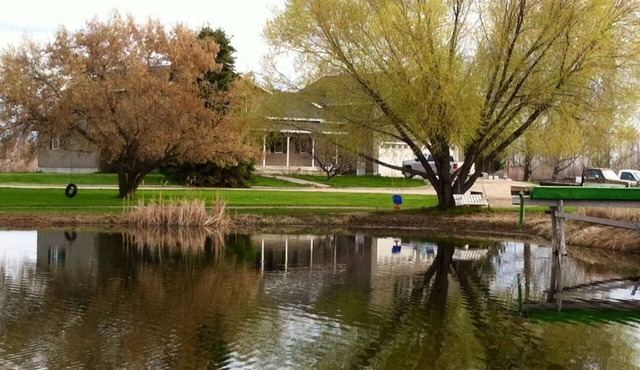 The Ponds-A Working Ranch in Hamilton