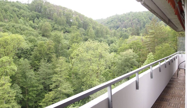 Vacation apartment GrünWald in Bad Harzburg