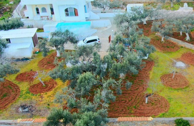 Villa Konaki 
