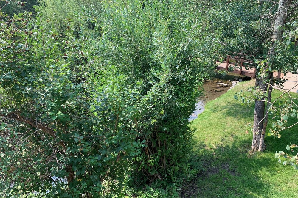 Photo of Outdoor in Moose Wilson Road