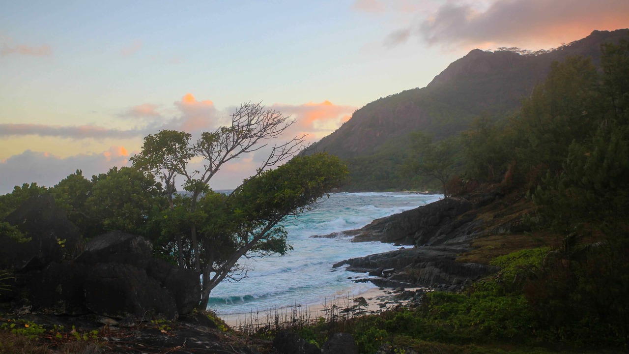 Photo of Others in Silhouette Island
