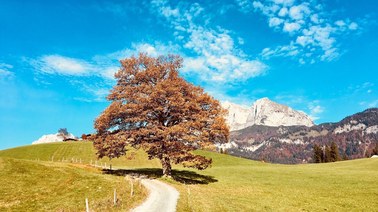 Photo of Others in Sankt Johann in Tirol