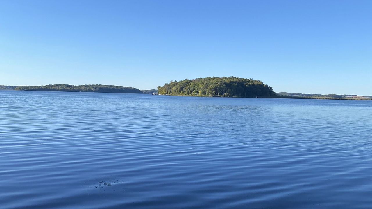 Photo of Others in Roseneath
