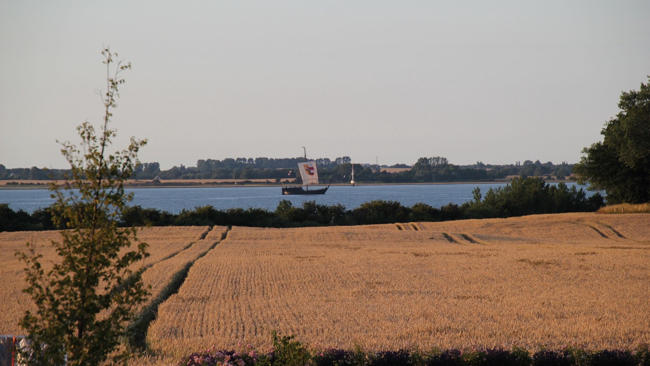 Photo of Others in Zierow