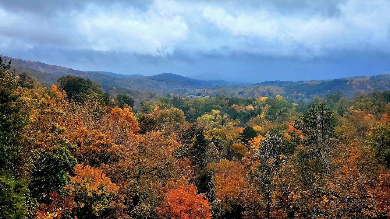 Photo of Others in Upper Peachtree