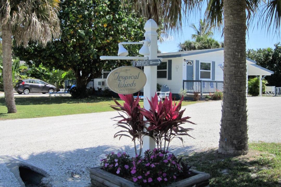 Photo of Others in Tradewinds