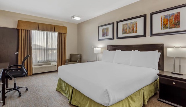 Best Western Wainwright Inn & Suites in Wainwright