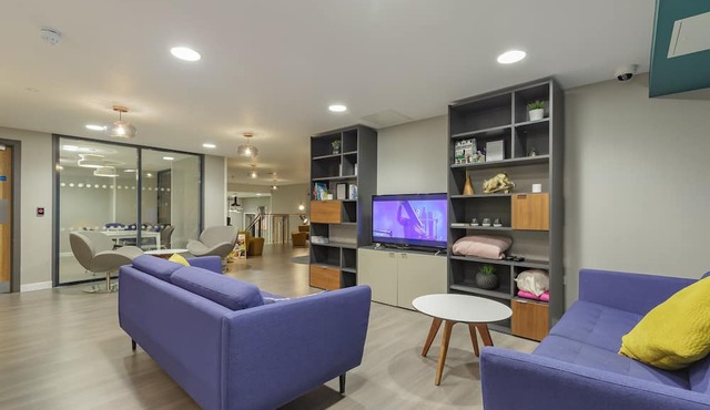 JOIVY Affordable Edinburgh - Adults only in Edinburgh