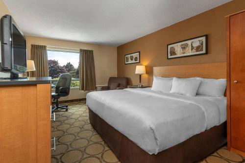 Comfort Inn Glasgow 